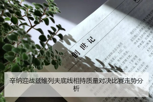 xin-na-ying-zhan-zi-wei-lie-fu-di-xian-xiang-chi-zhi-liang-dui-jue-bi-sai-zou-shi-fen-xi-2-529.jpg