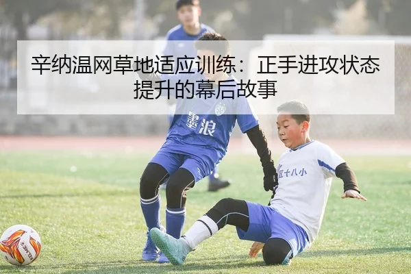 辛纳温网草地适应训练：正手进攻状态提升的幕后故事