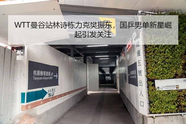 WTT曼谷站林诗栋力克樊振东，国乒男单新星崛起引发关注